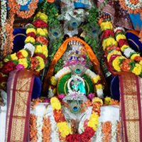 Sri Krushna Jayanthi celebrations in Divya Saketham