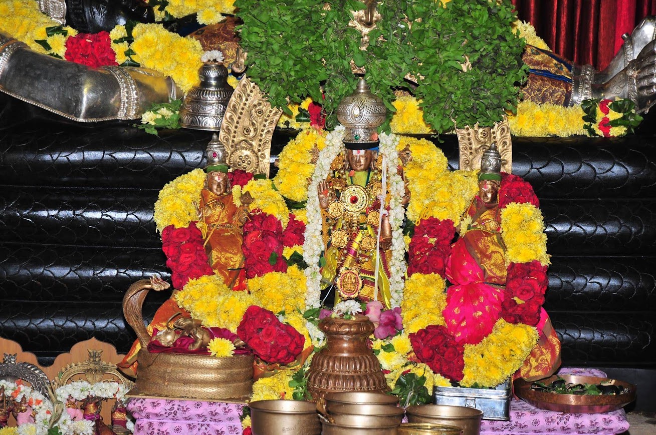 Srirangam brahmmotsavam 2019